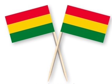 Cocktailprikkers Carnaval Limburg rood geel groen, Mestreech Kaasprikkers, 50 stuks