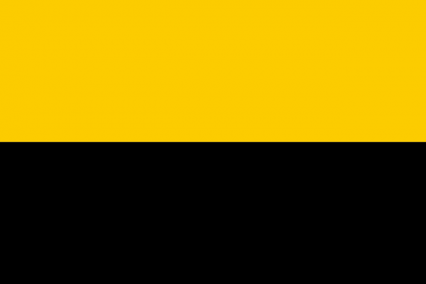 Vlag Ijsselstein 50x75cm