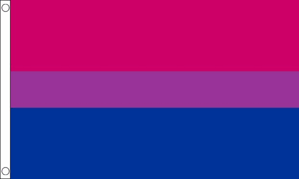 Bi-Pride vlag 90x150cm