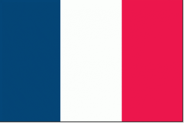 Franse vlag Frankrijk 40x60cm vlaggen