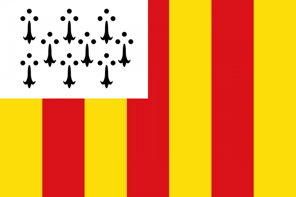 Grote vlag Geel