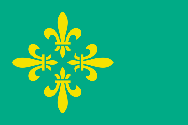 Vlag Midden-Drenthe 70x100cm