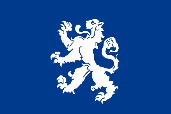 Vlag Heemskerk 30x45cm