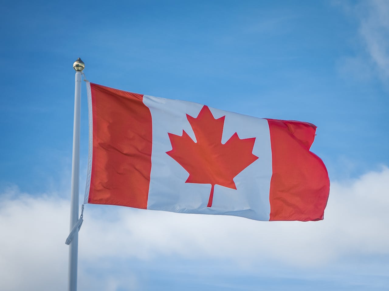 Hoe heet het blad in de Canadese vlag?